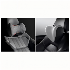 Wholesale of Professional Driving Health System